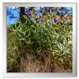 Spaziergang in der Umgebung Vucetinec