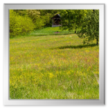 Spaziergang in der Umgebung Vucetinec