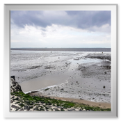 Vor und hinter dem Deich