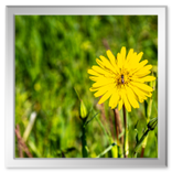 Spaziergang in der Umgebung Vucetinec