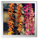 Kastanienrösten bei Freunden