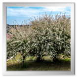 Spaziergang in der Umgebung Vucetinec