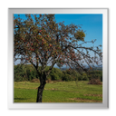 Wanderung in der Umgebung von Vucetinec