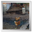 Kastanienrösten bei Freunden