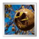 Wanderung in der Umgebung von Vucetinec